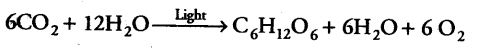 photosynthesis-higher-plants-cbse-notes-class-11-biology-4
