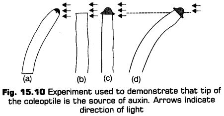 plant-growth-development-cbse-notes-class-11-biology-10