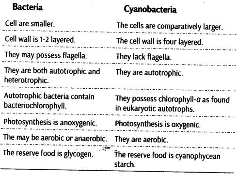 biological-classification-cbse-notes-class-11-biology-9