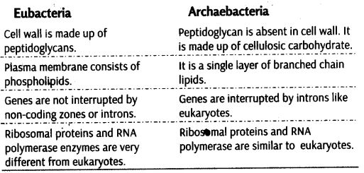 biological-classification-cbse-notes-class-11-biology-5