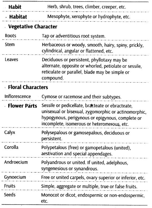 morphology-of-flowering-plants-cbse-notes-for-class-11-biology24