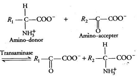 mineral-nutrition-cbse-notes-class-11-biology-10