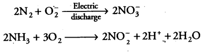 mineral-nutrition-cbse-notes-class-11-biology-5