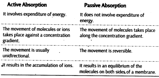 passive absorption of minerals in plants