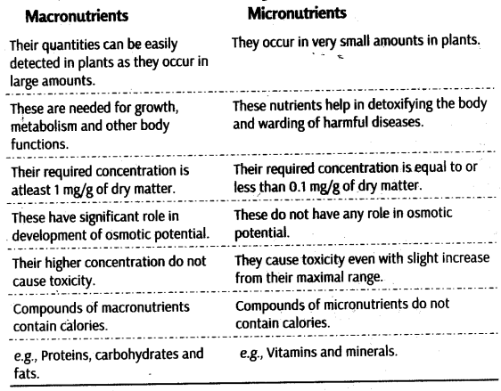 mineral-nutrition-cbse-notes-class-11-biology-2