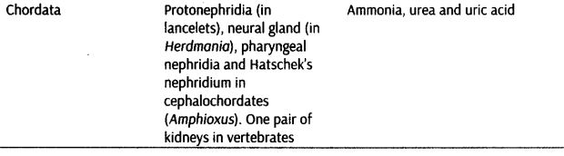 excretory-products-and-their-elimination-cbse-notes-for-class-11-biology-2