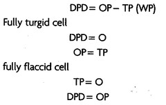 transport-in-plants-cbse-notes-for-class-11-biology-12