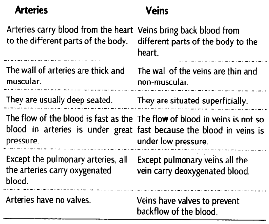 body-fluids-circulation-cbse-notes-class-11-biology-8