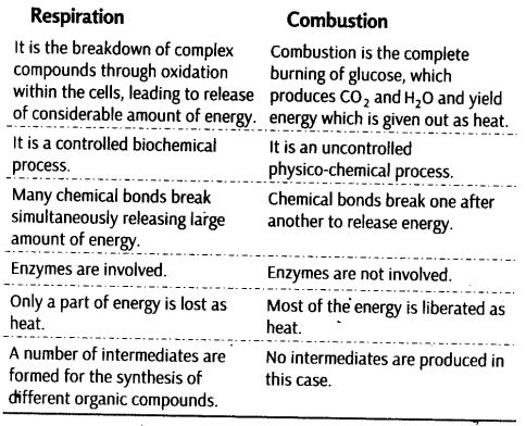 respiration-plants-cbse-notes-class-11-biology-1