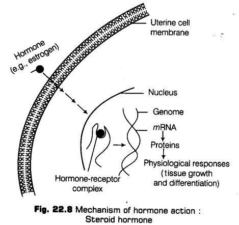 chemical-coordination-integration-cbse-notes-class-11-biology-9