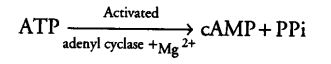 chemical-coordination-integration-cbse-notes-class-11-biology-7