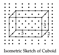 Visualising Solid Shapes Class 7 Notes Maths Chapter 15 5