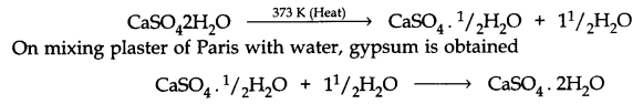 Acids Bases and Salts Class 10 Notes Science Chapter 2 3