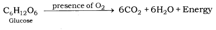 Life Processes Class 10 Notes Science Chapter 6 11