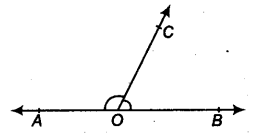 Lines and Angles Class 9 Notes Maths Chapter 4 14