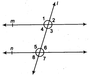 Lines and Angles Class 9 Notes Maths Chapter 4 17