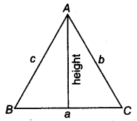 Heron's Formula Class 9 Notes Maths Chapter 7 2