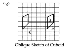 Visualising Solid Shapes Class 7 Notes Maths Chapter 15 4