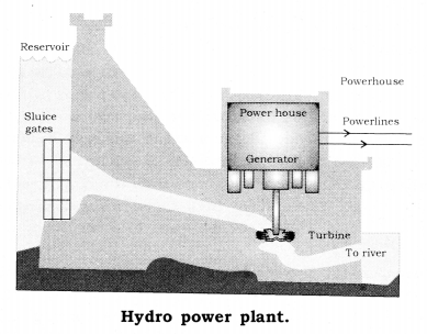 Sources of Energy Class 10 Notes Science Chapter 14 3