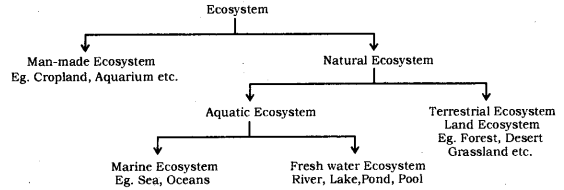 Our Environment Class 10 Notes Science Chapter 15 1