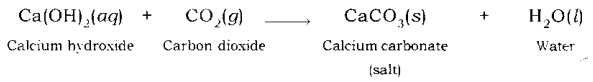 Acids Bases and Salts Class 10 Notes Science Chapter 2 13