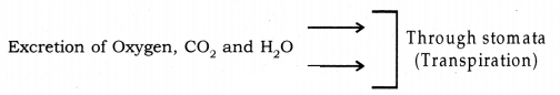 Life Processes Class 10 Notes Science Chapter 6 24