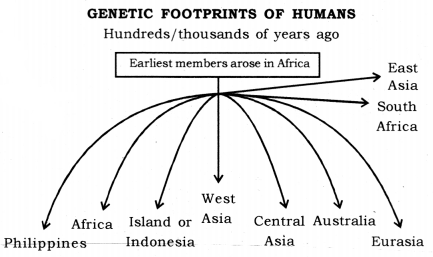 Heredity and Evolution Class 10 Notes Science Chapter 9 10