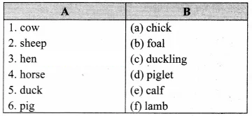 The elephant class 6 mp board chapter 8 english solutions