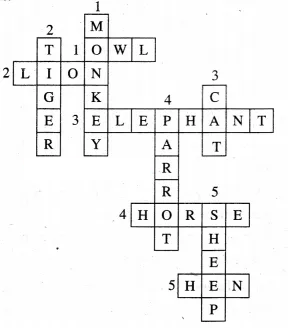 The elephant class 6 mp board chapter 8 english solutions