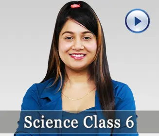 Science Class 6